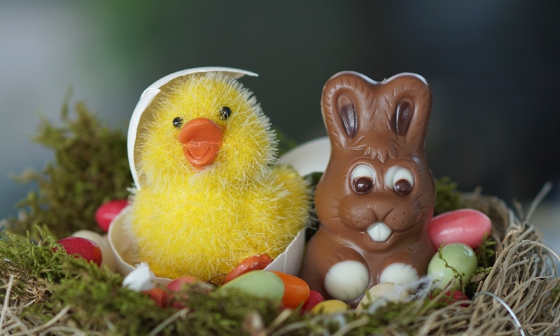 Yellow chick next to a chocolate bunny in a nest with green moss and small eggs for easter c words